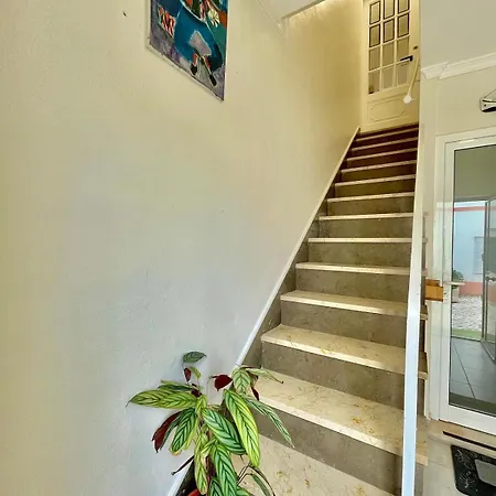 Casa Palhaco